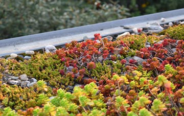 the cost of Kenn Moor Gate green roof installation