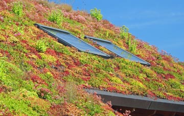 Kenn Moor Gate living roof systems